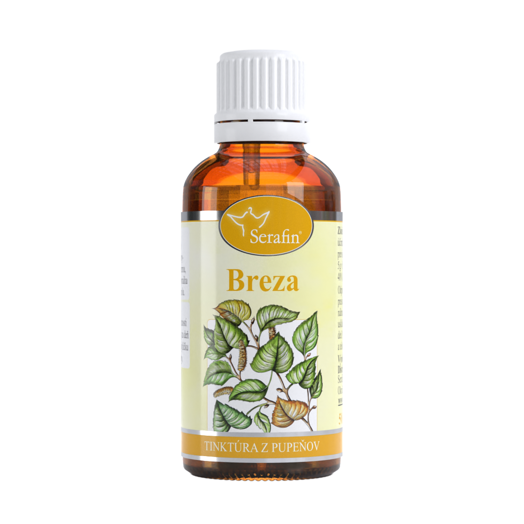 Breza – tinktúra z pupeňov | Serafin byliny