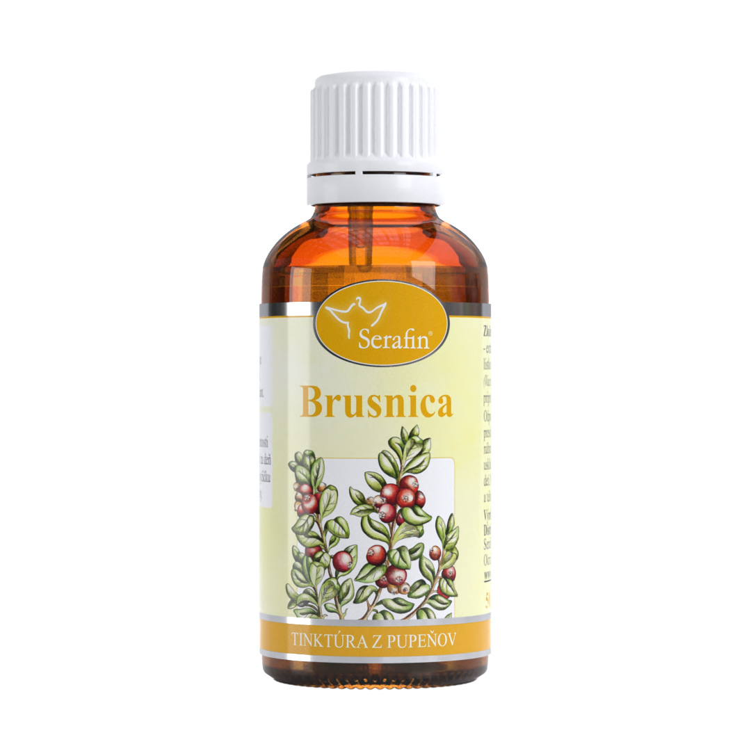 Brusnica – tinktúra z pupeňov | Serafin byliny