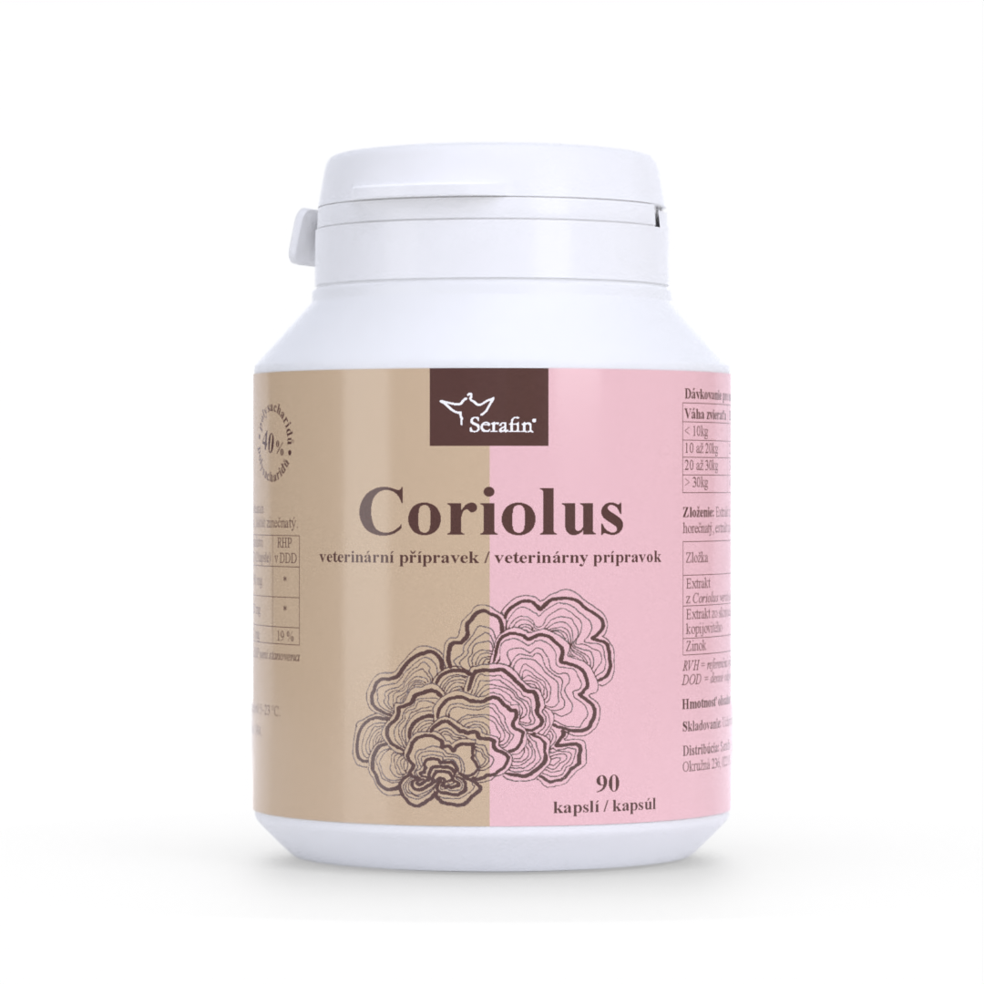 Coriolus - prírodné kapsuly | Serafin byliny