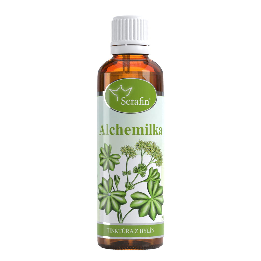 Alchemilka – tinktúra z bylín | Serafin byliny