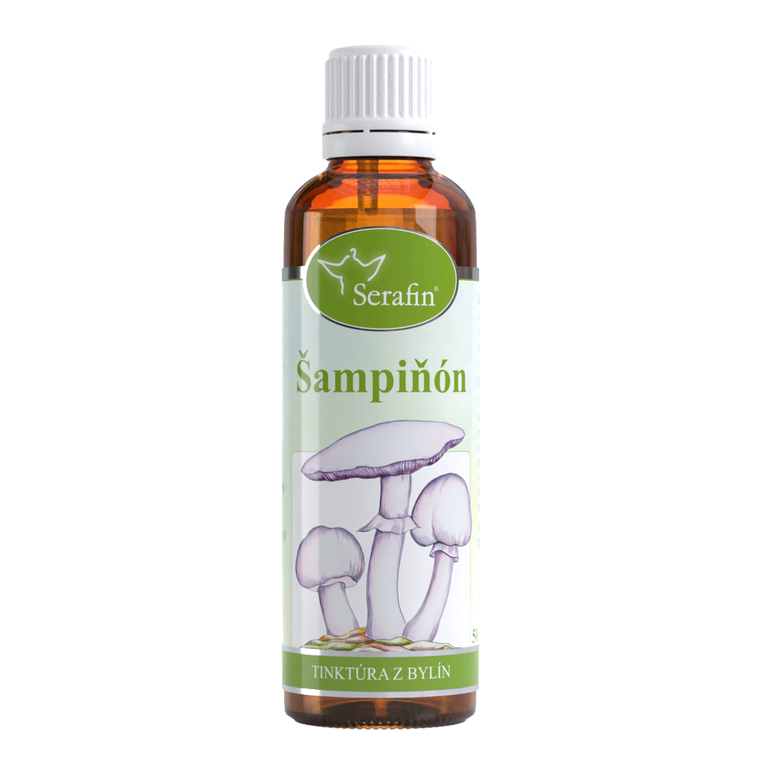 Šampiňón – tinktúra z bylín | Serafin byliny