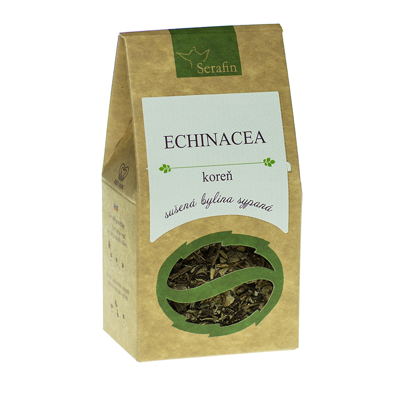 Echinacea – purpurová koreň | Serafin byliny
