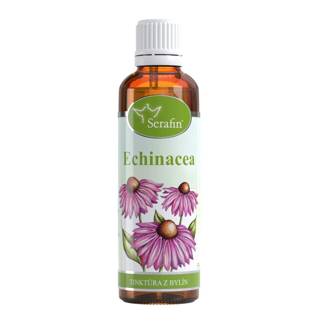 Echinacea – tinktúra z bylín | Serafin byliny