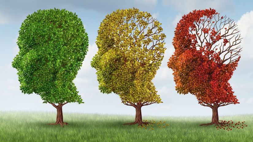 Článek - Alzheimerova choroba | Serafin byliny